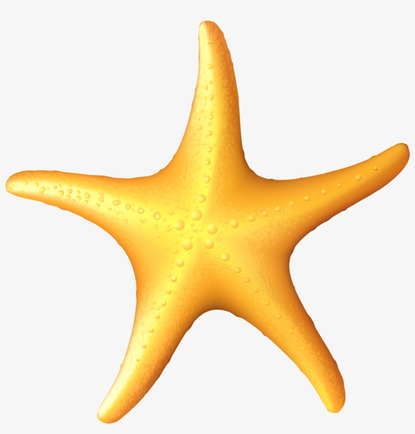 Sea Star Clipart - Starfish, transparent png #10110891