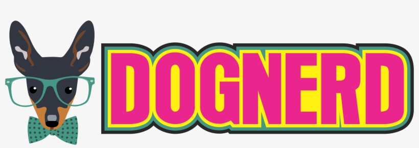 Graphic Design, transparent png #10111592