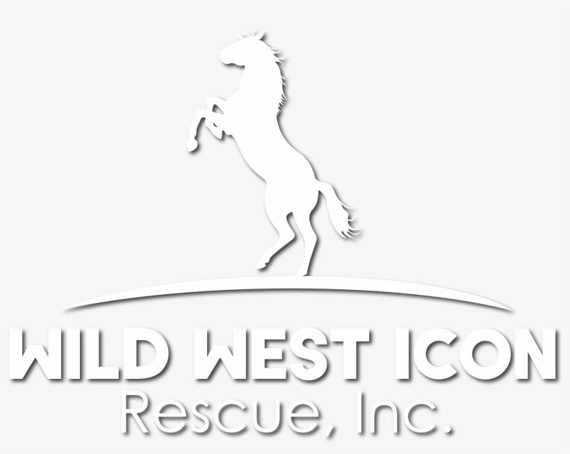 Stallion, transparent png #10112448