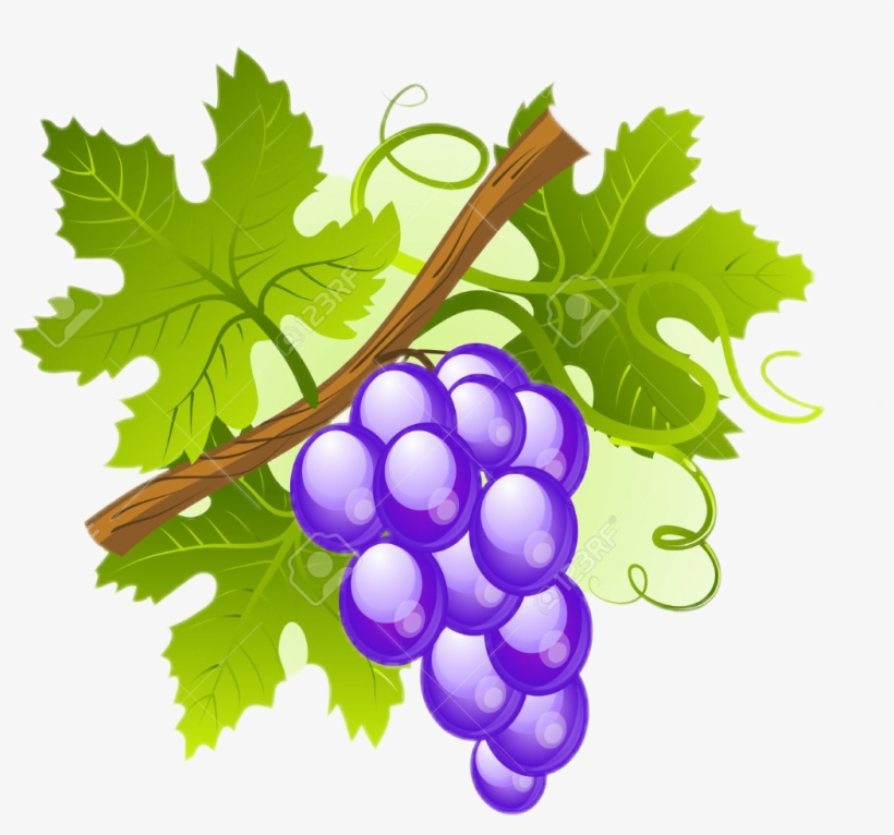 Uvas Sticker - Colegio Maria Reina Inmaculada, transparent png #10112670