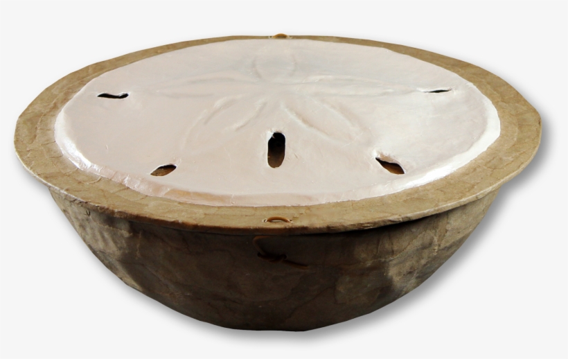 Sand Dollar - Circle, transparent png #10114895
