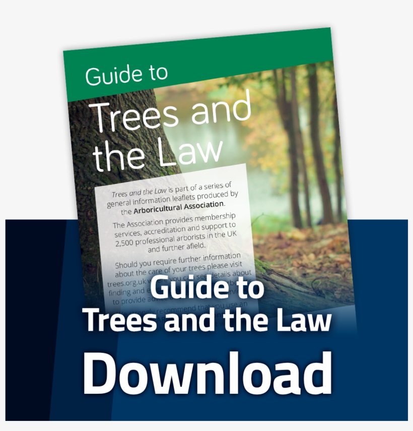 Poster, transparent png #10119123