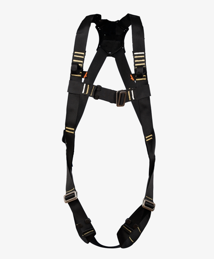 Carabiner, transparent png #10119515