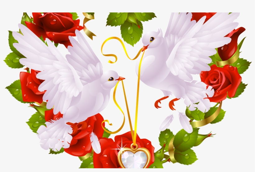 Love Birds Images For Facebook, transparent png #10119756