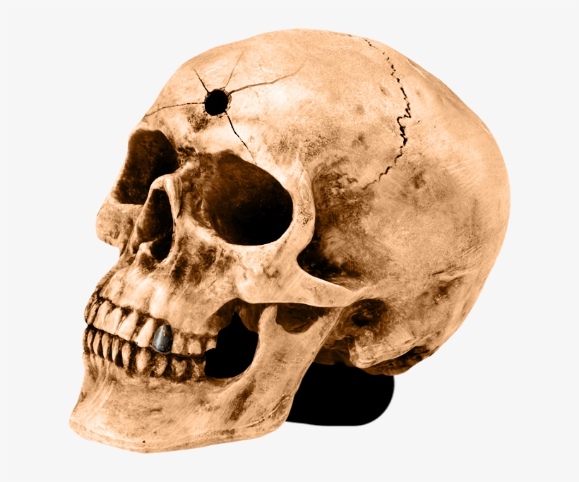 Northern California's Highest Rated Haunted House In - Skull, transparent png #10122250