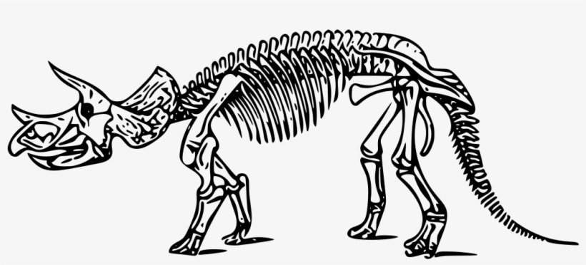 Svg Dinosaur Triceratops - Triceratops Skeleton, transparent png #10123748