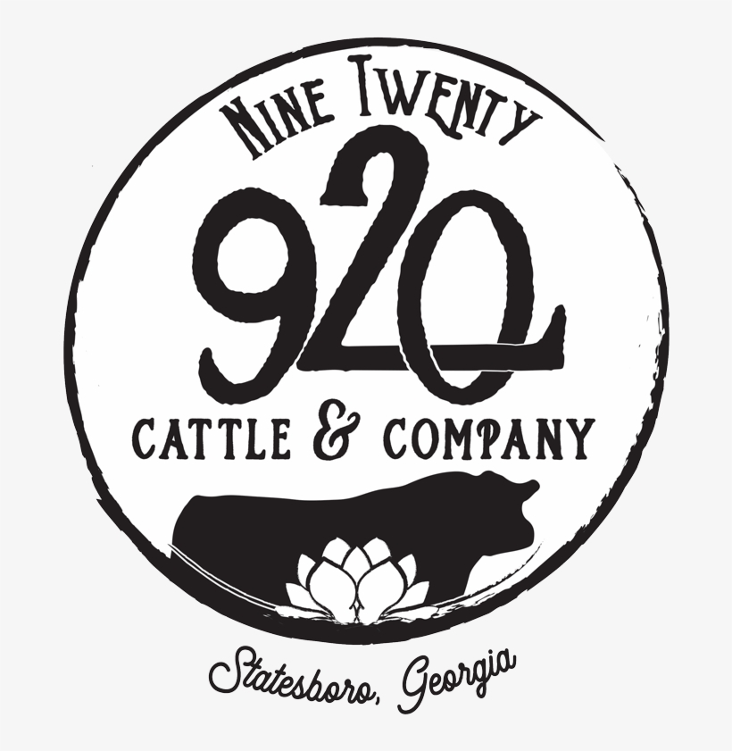 Home - Circle, transparent png #10124680