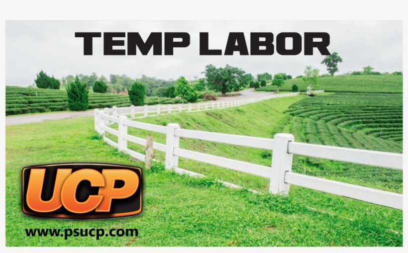 Graphic Design By Jadavprakash9 For Ucp Personnel Services, transparent png #10124684