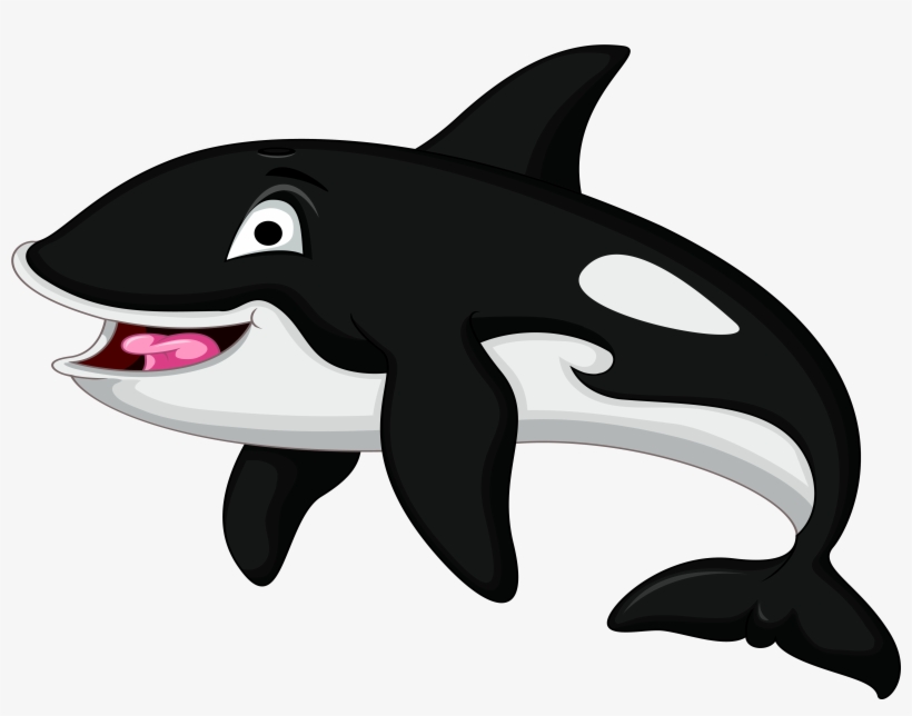 Killer Whale Character-01 - Killer Whale, transparent png #10124872