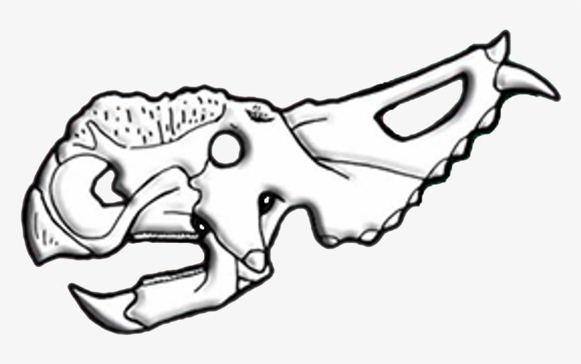 Pachyrhinosaurus Skull Diagram - Pachyrhinosaurus, transparent png #1020004