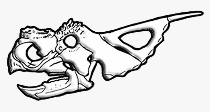 Achelousaurus Skull Diagram - Achelousaurus, transparent png #1020084