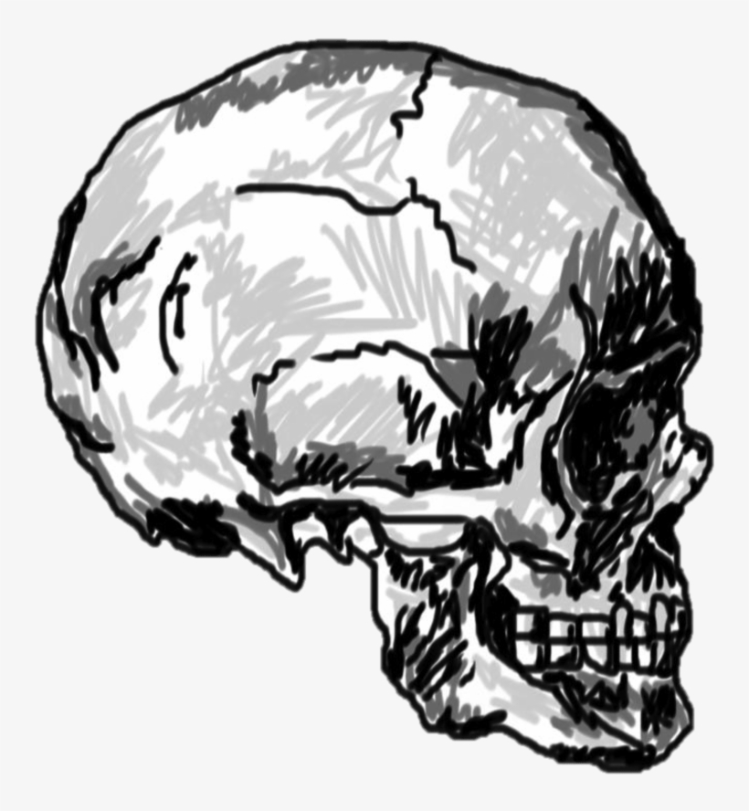 Solution, transparent png #1020274