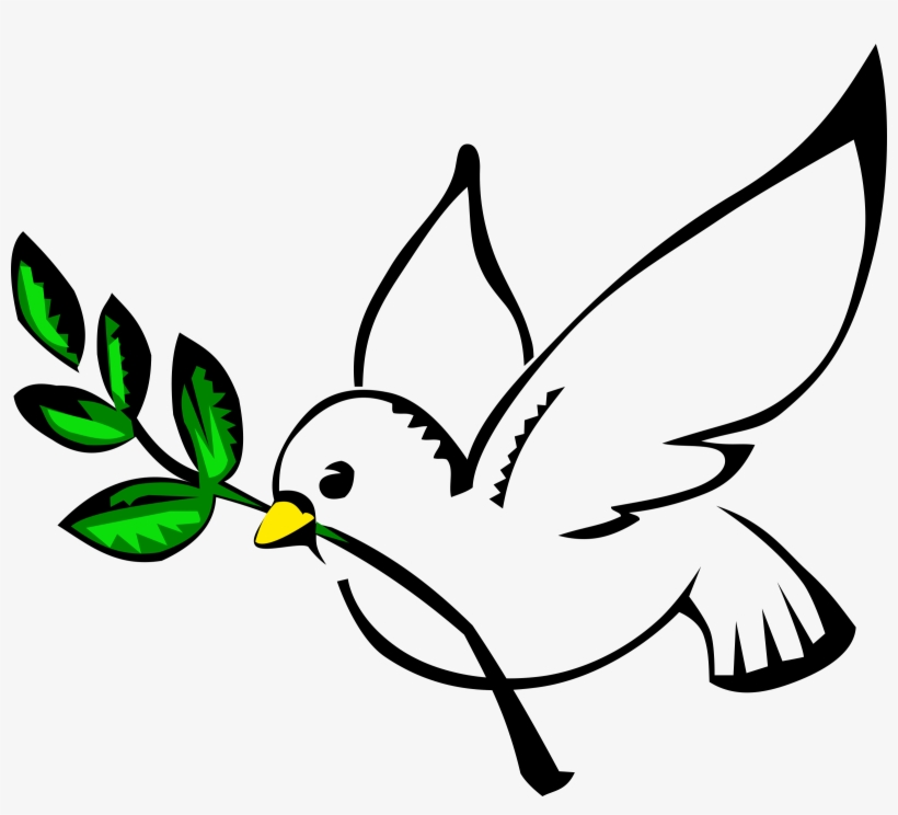 Paloma Png, transparent png #1020311