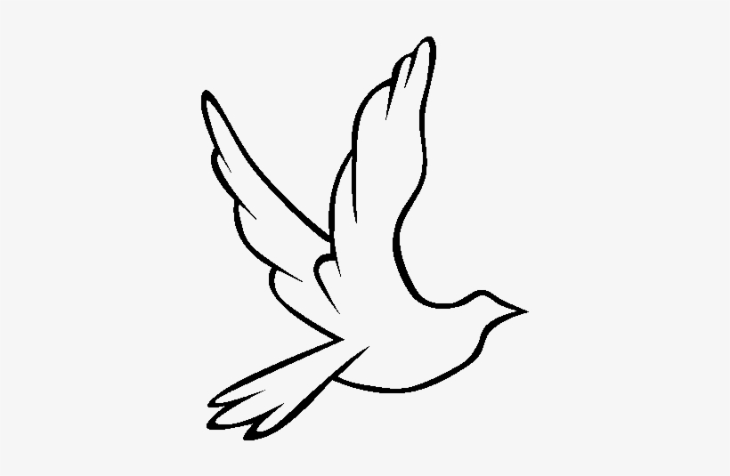 Palomas Png, transparent png #1020440