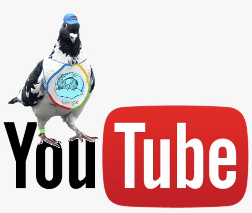 Guía Multiestratégica Gestión Ética De Palomas Urbanas - Best Tv 2.4 Arabic Iptv Wireless Box Btv2u, transparent png #1021105