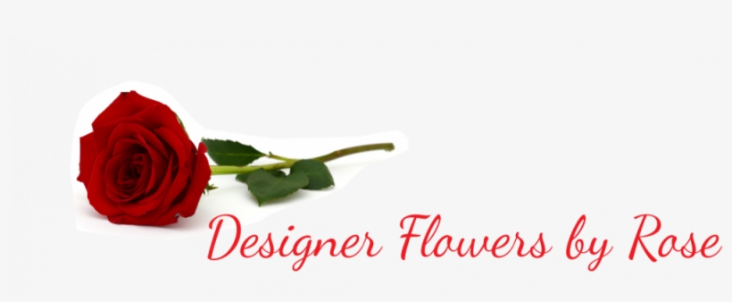 Designer Flowers By Rose - Shower Room - Handmade Vintage Home Decor Wooden Door, transparent png #1021210