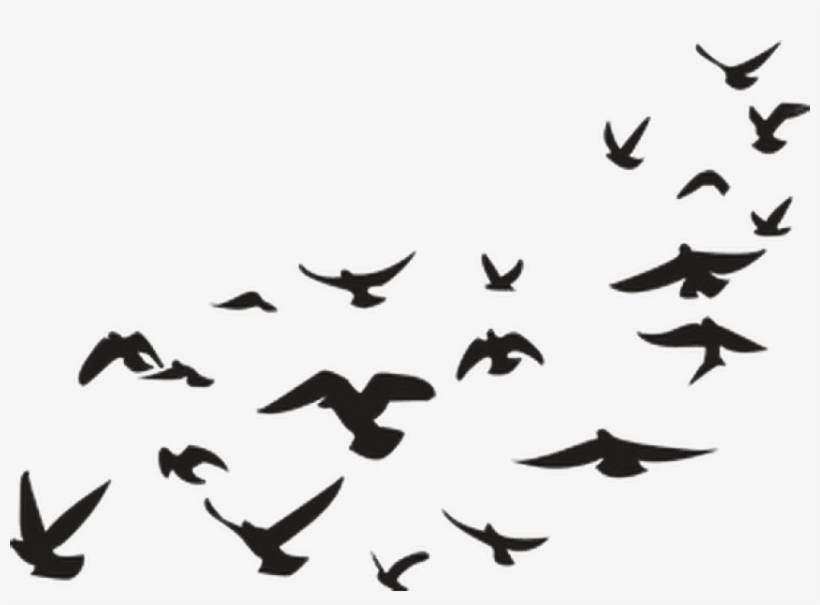 Report Abuse - Picsart Png Stickers, transparent png #1021236