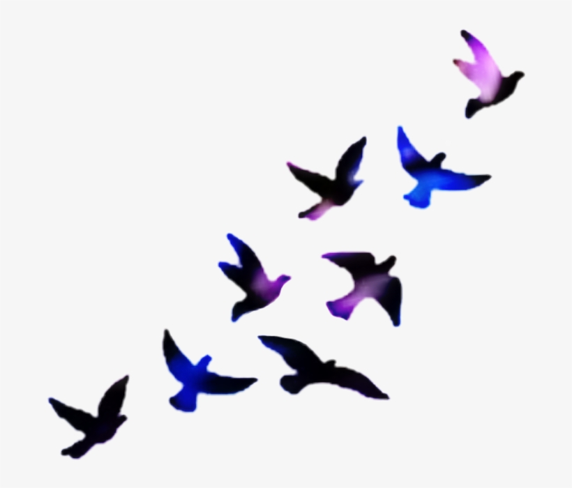 It's Time To Move On Quotes, transparent png #1021449