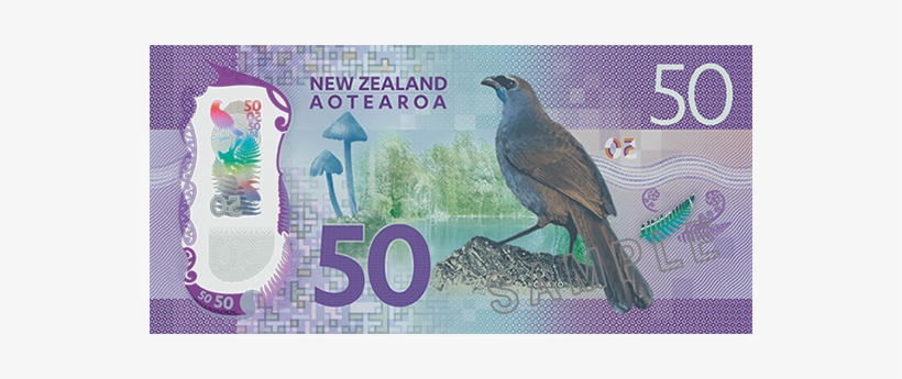 New Zealand 50 Dollar Back - New Zealand Banknotes Ebay 50, transparent png #1022457