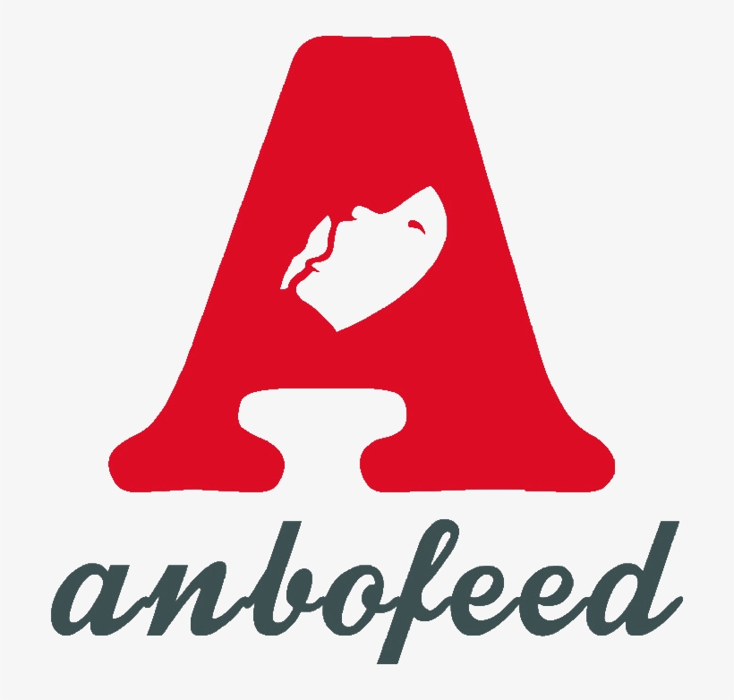 Big Hole Fishnet Tights Japanese Pantyhose Women - G-string, transparent png #1022723