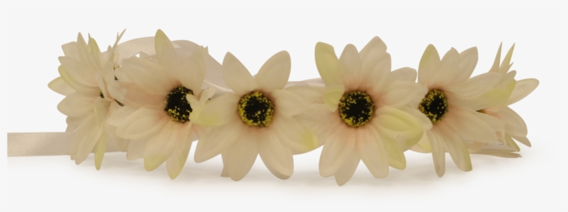 White Flower Crown Png - Flower, transparent png #1022979
