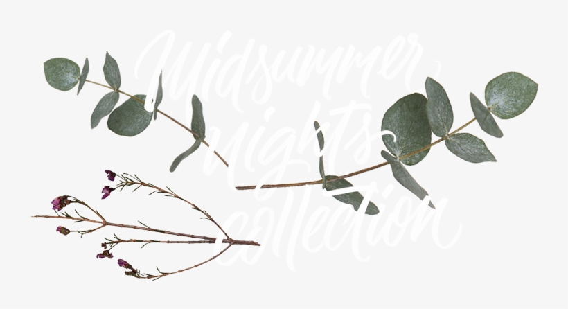 Midsummer Aufmacher Transparent-small - Portable Network Graphics, transparent png #1023182