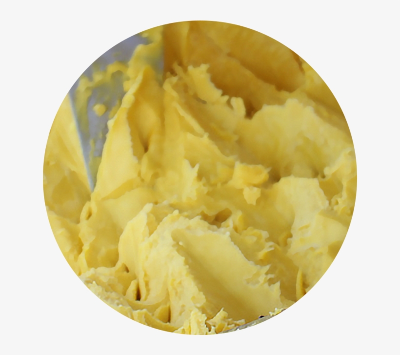 Essential Fatty Acids - Essential Fatty Acid, transparent png #1023725