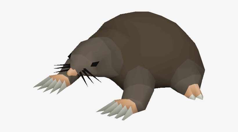 Giant Mole - Runescape Mole, transparent png #1024024
