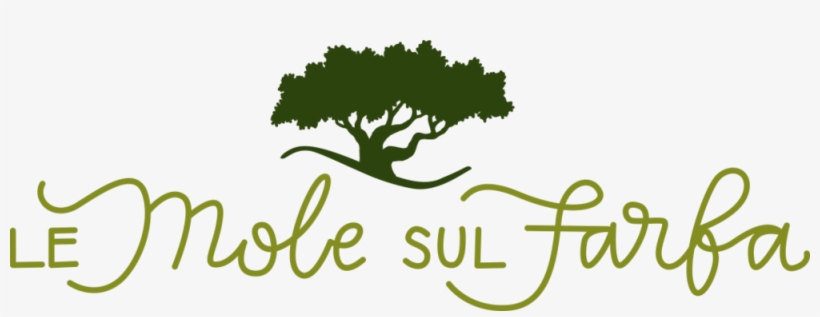 Mole Png, transparent png #1024354