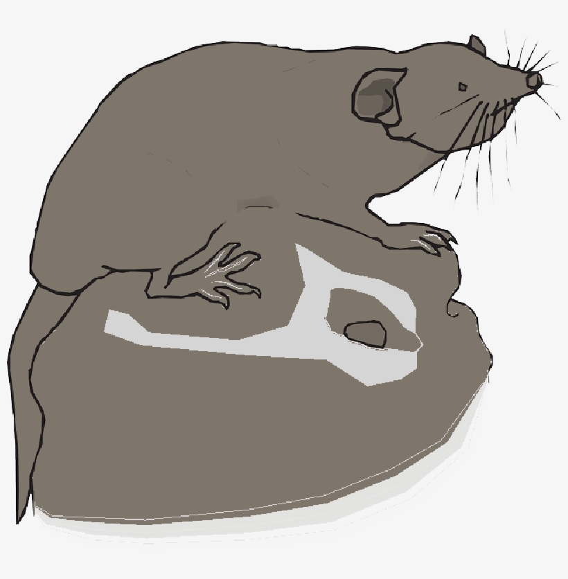 Mb Image/png - Vector Graphics, transparent png #1024472