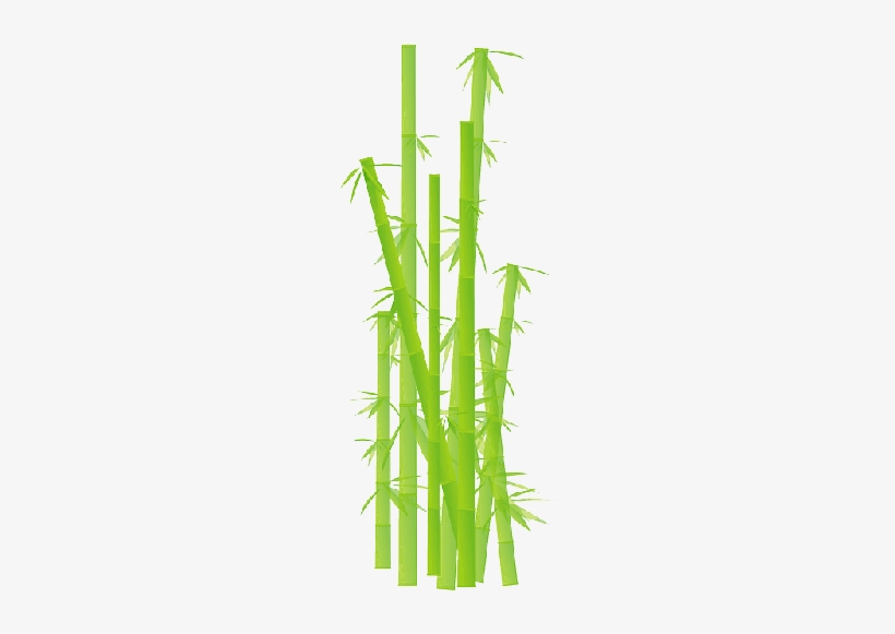 Mb Image/png - Bamboo Clipart Transparent, transparent png #1024787