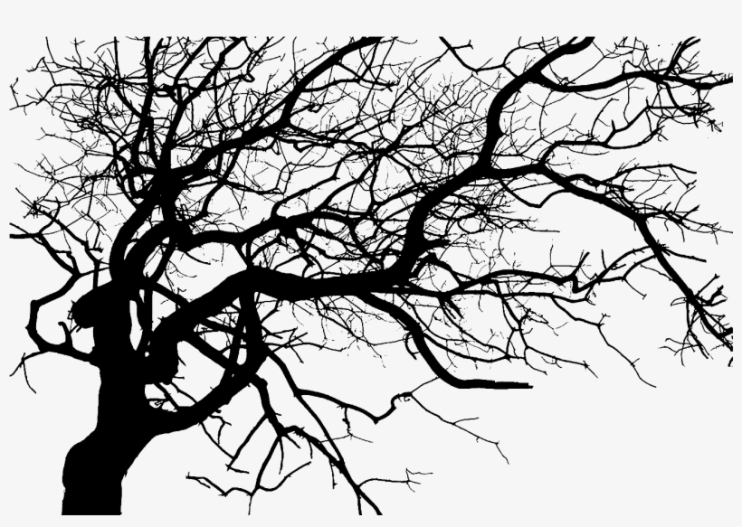 Clipart Resolution 1422*900 - Dark Tree Transparent, transparent png #1024789