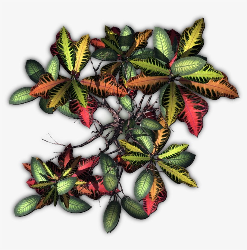 Jungletree-a - Dundjinni Tree, transparent png #1024875
