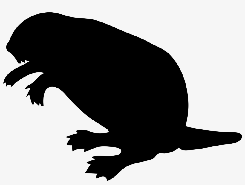 Beaver Contour Big Image Png - Beaver Clip Art, transparent png #1024937