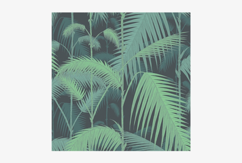 Palm Jungle Wallpaper - Cole And Son Palm 95 1001, transparent png #1025168
