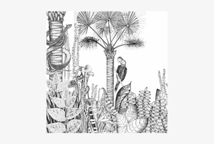 Wallpaper Jungle - Papier Peint Jungle Noir Et Blanc, transparent png #1025233