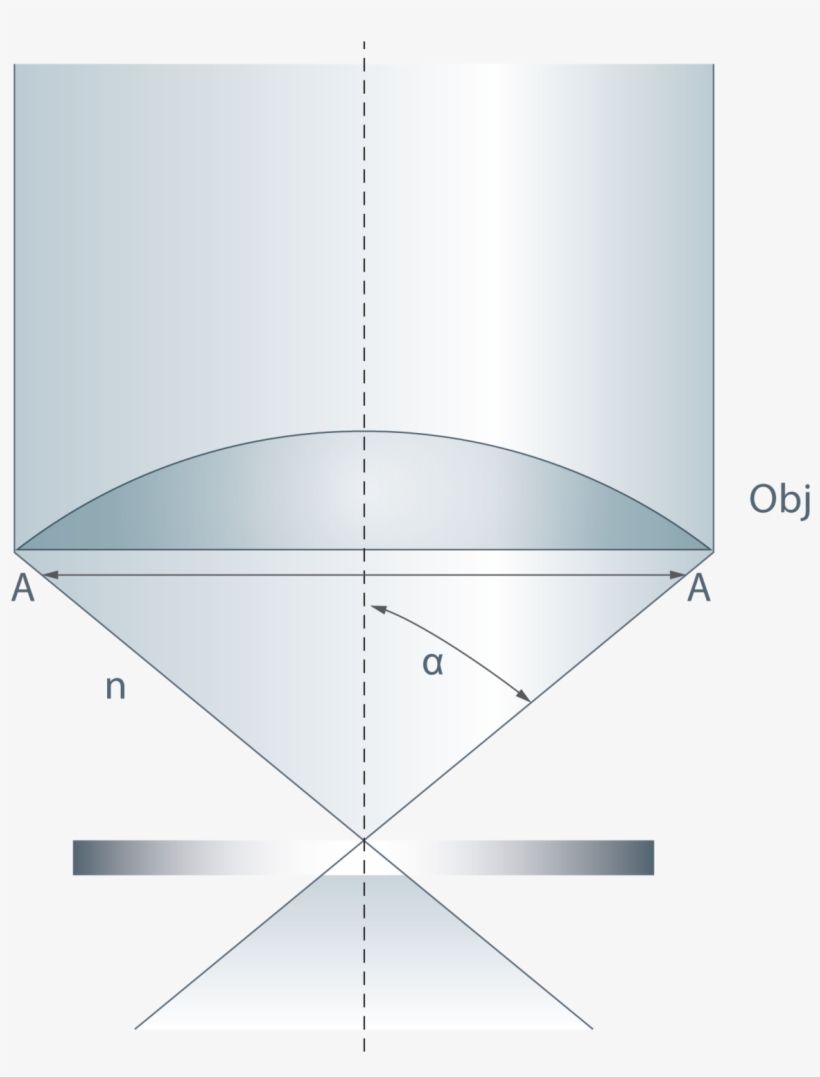 The Importance Of Numerical Aperture In Microscopy - Ceiling, transparent png #1025344
