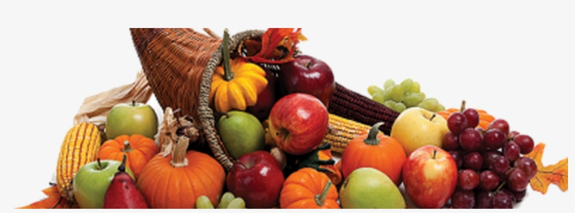 A Cornucopia Of Savings - Essential Oils Recipes Thanksgiving, transparent png #1026311