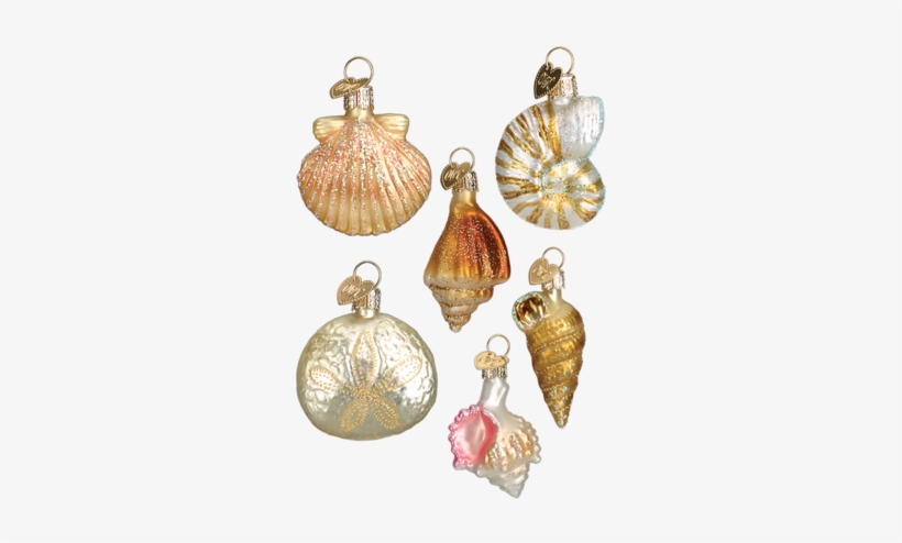 Sea Shell Ornaments - Beach Christmas Ornaments Png, transparent png #1026644