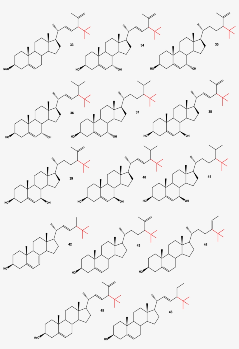 Neo Steroids Isolated From Marine Sponges, Anemones - Ink, transparent png #1026694
