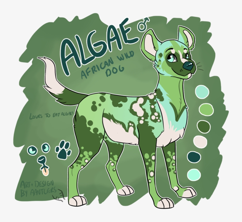 Dog, transparent png #1027453