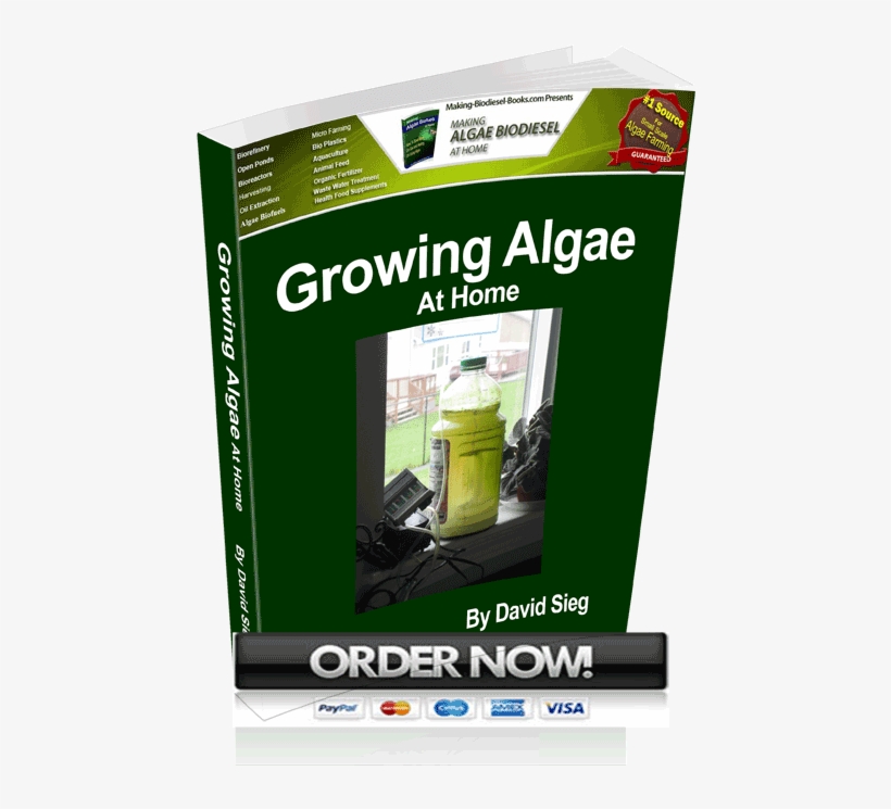 Growing Algae At Home - Parallel, transparent png #1027486