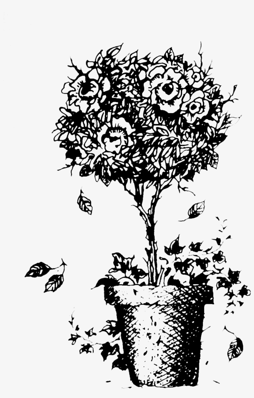 Design Effects Png, transparent png #1027555