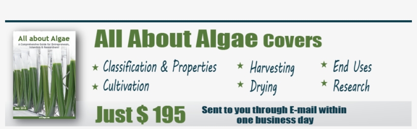 Who Will Benefit The Most From The All About Algae - Uttar Pradesh Jal Nigam Junior Engineer (civil Engineering), transparent png #1027717
