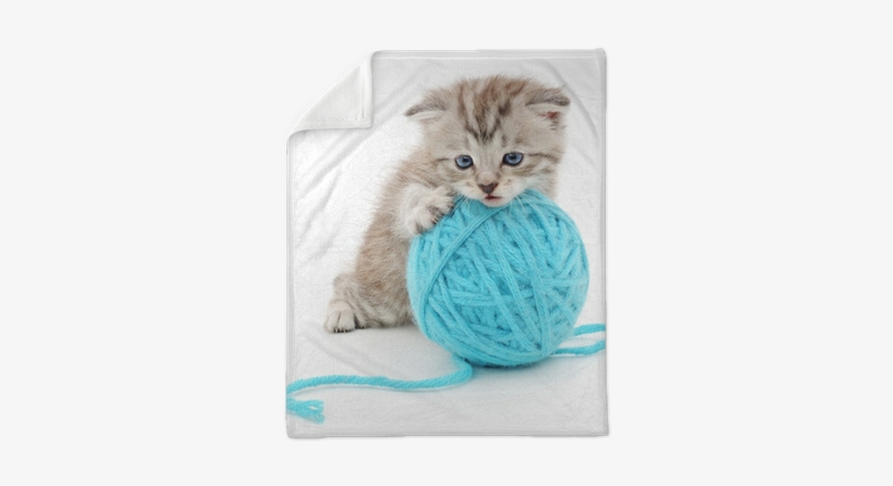 Gatto Con Gomitolo, transparent png #1027910