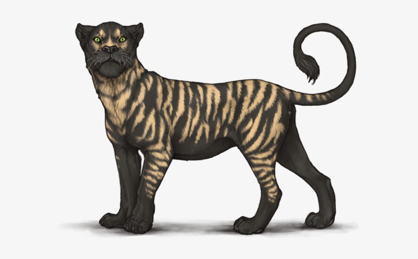 Hyena Stripes Scarce Dark Brown, Hyena Stripes Scarce - Siberian Tiger, transparent png #1028090