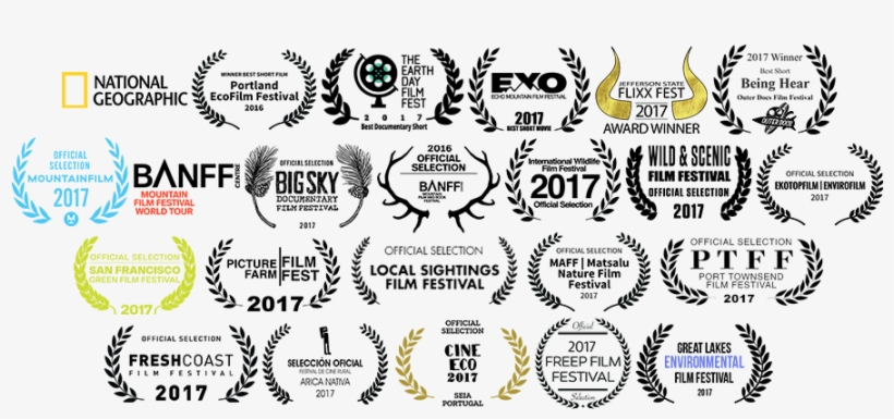 Laurels - Palmer Morse, transparent png #1028128