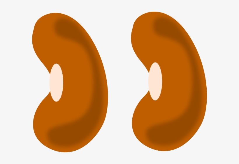 Yellow Bean Clip Art At Clker Com - Bean Vector, transparent png #1028248