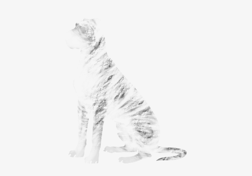 Scarce Brindle - Borzoi, transparent png #1028291