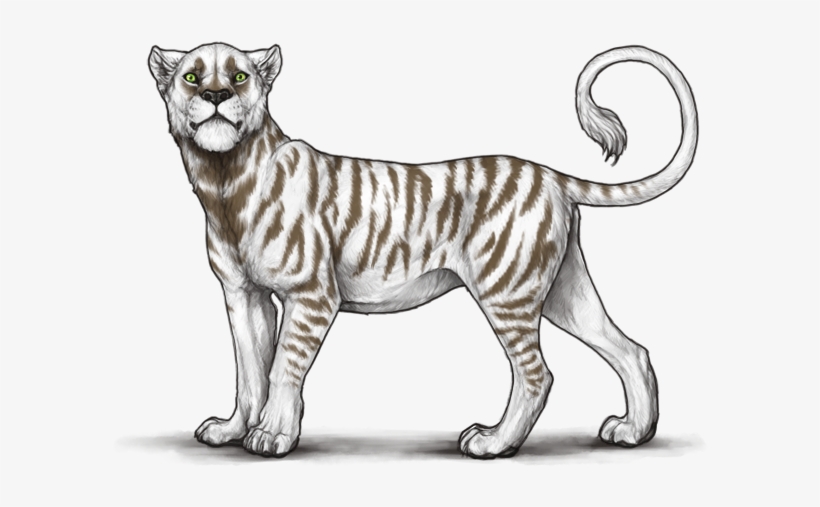 Bst75up - Portable Network Graphics, transparent png #1028400